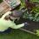 How to Make Your Home Garden Soil More Fertile and Healthy