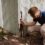 Termite Infestation in Subtropical Region and Solution